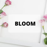 серия Bloom